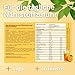 Vital Multivitamin Pulver - mit Zink, Kupfer und Selen - 50 Portionen Vitamine & Mineralstoffe - 300g mit Superfoods und Pflanzenstoffe