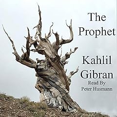 The Prophet copertina