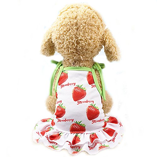 BBEART Pet Clothes,Lovely Summer Fruit Dog T-Shirt Puppy Clothes Dog Skirt Dress Cats Clothes for Small Dogs Cats Puppy (S-Back Length 25cm, Strawberry Skirt)