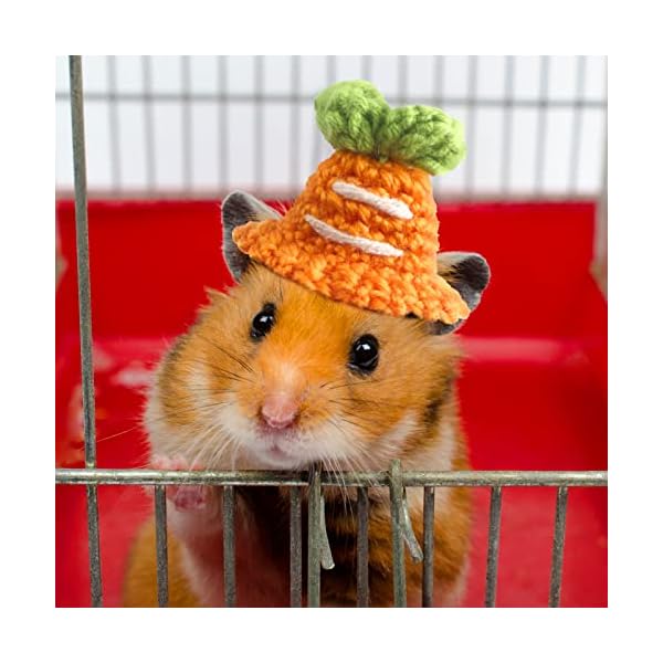 10 pcs hamster hat small animals cute tiny hat mini hand knitted hats for snakes pets bearded dragon guinea pig bunny costume accessories holiday parties - image 6