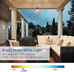 DEWENWILS 4-Pack Dusk to Dawn Light Bulb Led Outdoor Lighting, Smart Automatic On/Off Photocell Sensor A19 E26 Porch Light Bulb, 2700K Soft Warm White, 9W (60W Equivalent), 800 LM, UL Listed