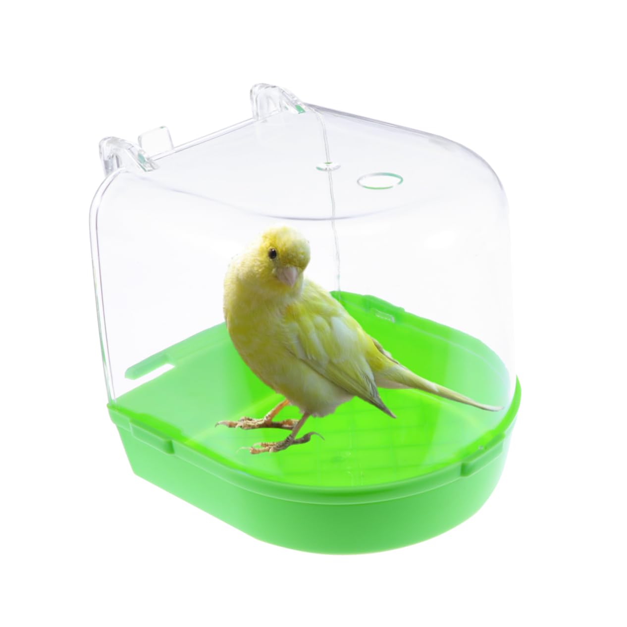 BESPORTBLE 3 Pz Gabbia da Bagno per canarino per Uccelli Alimentatore di Vermi di Pesce Green Gabbie Uccelli Coperto per Gli Uccelli Bagno di Pappagallo Coperto l'uccello Accessori Staffa
