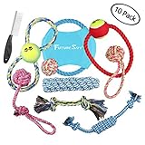 Futuresky Puppy Toys 10 Pack Gift Set with a Variety of Tug Ropes Disk Chase Chew and Squeaky Toys for Small to Medium Sized Dogs