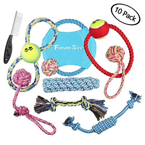 Futuresky Puppy Toys 10 Pack Gift Set with a Variety of Tug Ropes Disk Chase Chew and Squeaky Toys for Small to Medium Sized Dogs