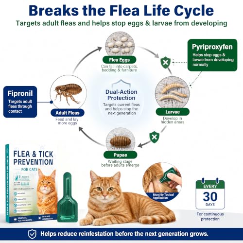 Cat Flea & Tick, Waterproof Topical Preventative for Cats, 6 Doses, Cats 1.5 lbs+, 8+ Weeks - Image 3