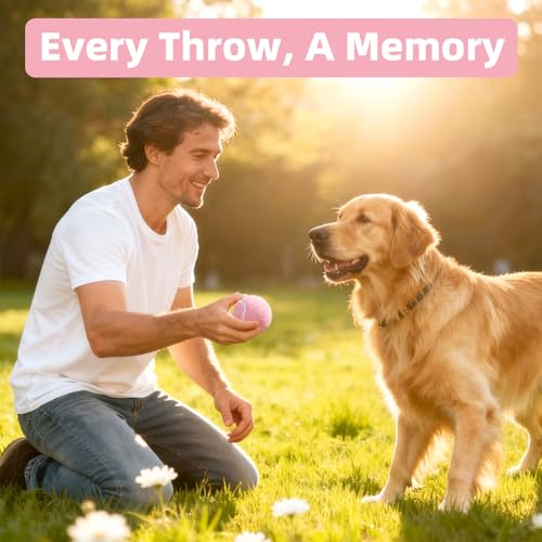 Image of Sunraymascota 6-Pack Tennis Balls for Dogs Fetch Toys,for Beginner Practice