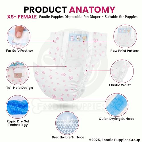 Image of Foodie Puppies Disposable Dog Diapers for Female Dogs - (XS) | Absorbent Female Dog Diapers with Leak Protection | Female Dogs in Heat, Excitable Urination, or Incontinence