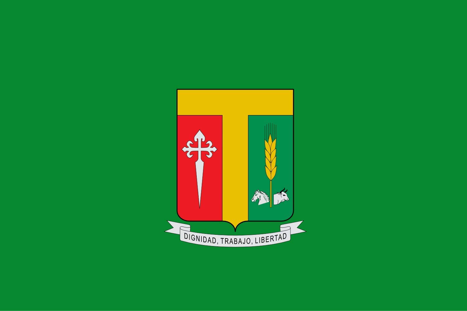 Drapeau XL Tenjo Cundinamarca grand drapeau paysage horizontal extérieur