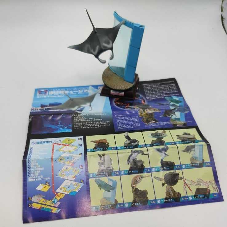 Amazon.co.jp: ネイチャーテクニカラー 海遊館ミュージアム