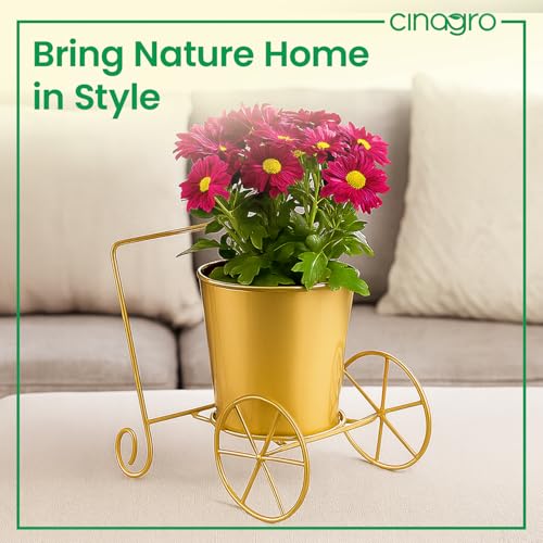 Image of CINAGRO Metal Wagon Planter, Gold Pram Rickshaw-Shaped Metal Plant Stand for Indoor & Outdoor Use, 2 Wheel Pot Stand, Flower Vase, Decorative Iron Pot Holder for Flowers & Ornaments, 27 x 13 x 21 cm