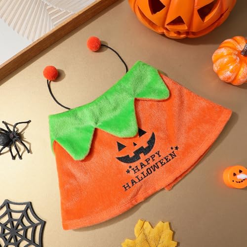 Capa para perro Halloween tamaño M Naranja miniatura 7