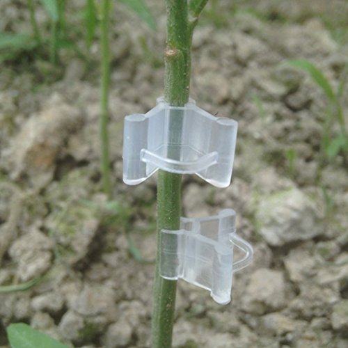 CADANIA 10Pieces Gardening Grafting Clips Garden Vegetable Flower Vine Bushes Plants