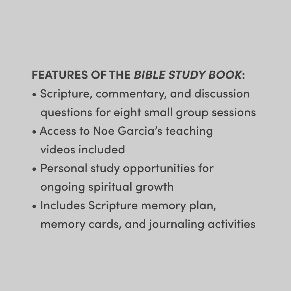 Romans 8: From Broken to Belonging - Bible Study Book with Video Access - Image 2