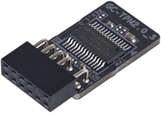 Gigabyte Motherboard Accessory GC-TPM2.0_S Bulk