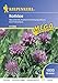 Produktbild Kiepenkerl 615960 Rotklee Milvus 1 kg (Rotkleesamen)