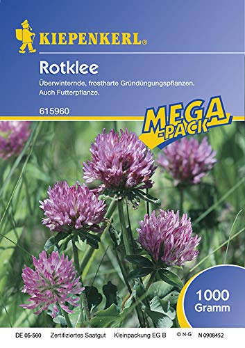 Preisvergleich Produktbild Rotklee 1 Kg
