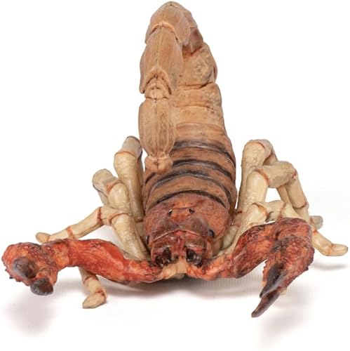 Miniatura 5 de Papo - Figura de escorpión - Juguete de animales del desierto para niños mayores de 3 años - Modelo de plástico de 4.3 in con pinzas y cola - Figura