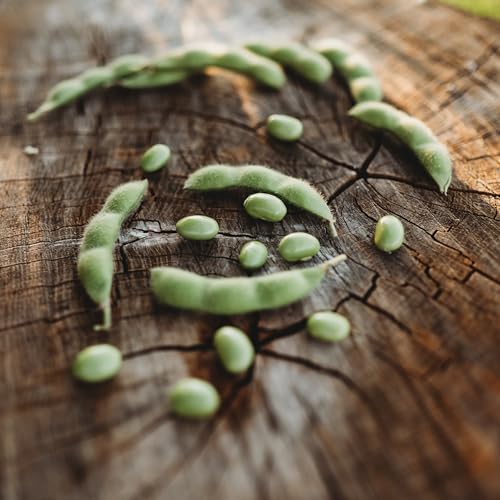 BeSweet Edamame - 50 Seeds - Heirloom & Open-Pollinated...