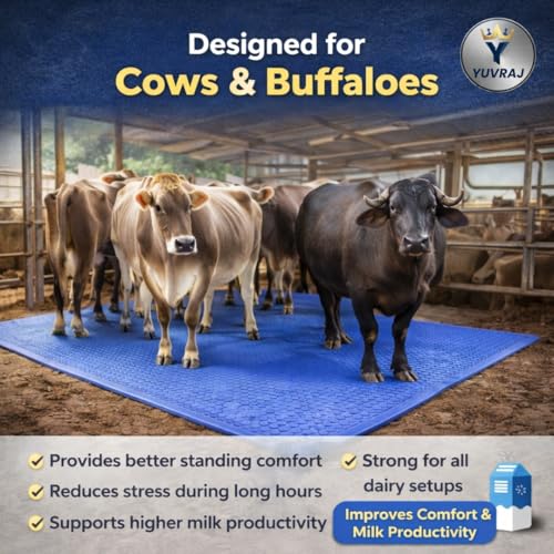 Image of Yuvraj EVA Cow Mat 8x5 Ft for Dairy Farms | Heavy-Duty Non-Slip EVA Floor Mat for Cow & Buffalo | Waterproof, Comfortable & Easy to Clean (Blue)