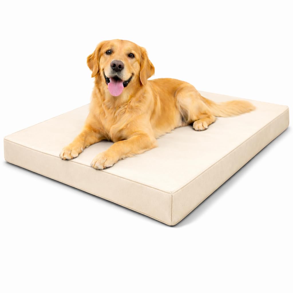MOTHER LAND Waterproof Dog Bed Heavy Duty Foam Pet Mattress Cushion Dog Bed MatCrate Kennel, FloorTravel Durable Puppy BedSmall Medium Large Dogs (CREAM, XX-Large 120 × 75 × 5 cm 48″ × 30″ × 2″)