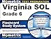 Virginia SOL Grade 6 Flashcard Study System: Virginia SOL Test Practice Questions & Exam Review for the Virginia Standards of Learning Examination (Cards)