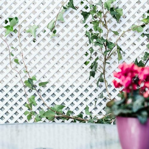 Nortene Celosía Fija Pvc Blanca 18 mm Decorativa 0,6X1,15 M