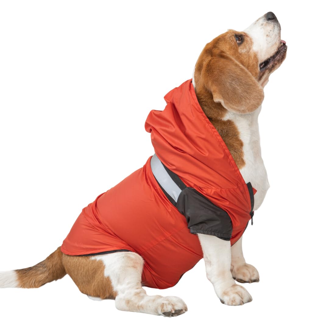 PAWPOURRI Red Reflective Dog Raincoat With Hoodie | Water Resistant | Polyester (Red, L), Pack Of 1 (B0C9JFZ4TK) Amazon Price History, Amazon Price Tracker
