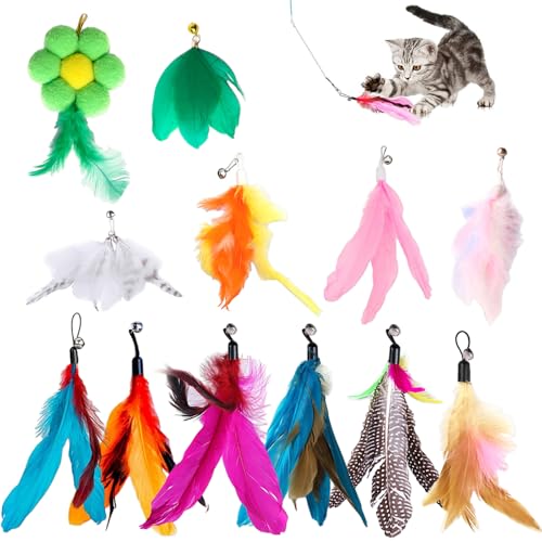 TFLPUO Federspielzeug für Katzen, 12 Stück Interaktives Katzenspielzeug Set Angel Katzenangel Ersatzfedern Bunte Feder Spielzeug Cat Feather Toys mit Glocken TFLPUO Federspielzeug für Katzen, 12 Stück Interaktives Katzenspielzeug Set Angel Katzenangel Ersatzfedern Bunte Feder Spielzeug Cat Feather Toys mit Glocken