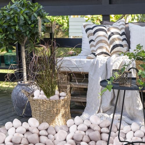 Image of 20Ib White River Rocks for Landscaping- High Polished Pebbles for Plants-Garden Decorative Stones-1-2 Large Plant Rocks,Ideal for Aquarium, Home Decor