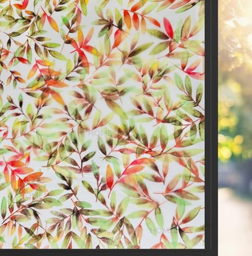 Image of HOME13 Window Privacy Film Frosted Glass Film Decorative Window Sticker Removable Window Film Home Office Privacy Film Window Coverings (Rowan Leafs, 2 Feet by 15 Feet)