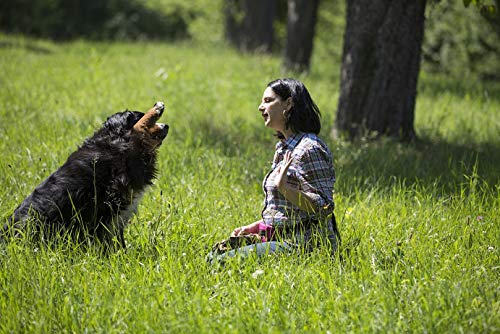 Dogs-Heart Geflügel & Kartoffel (1,5kg) Getreidefreies Hundefutter mit hohem Fleischanteil, Glutenfrei