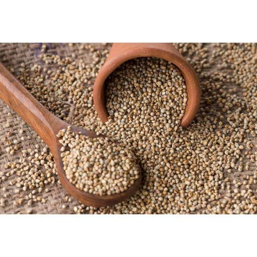 Ikshvaku Pearl Millet | Bajra #TOP4