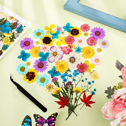 110 Piezas Flores Secas Prensadas para Resina con Pinzas y Caja miniatura 4