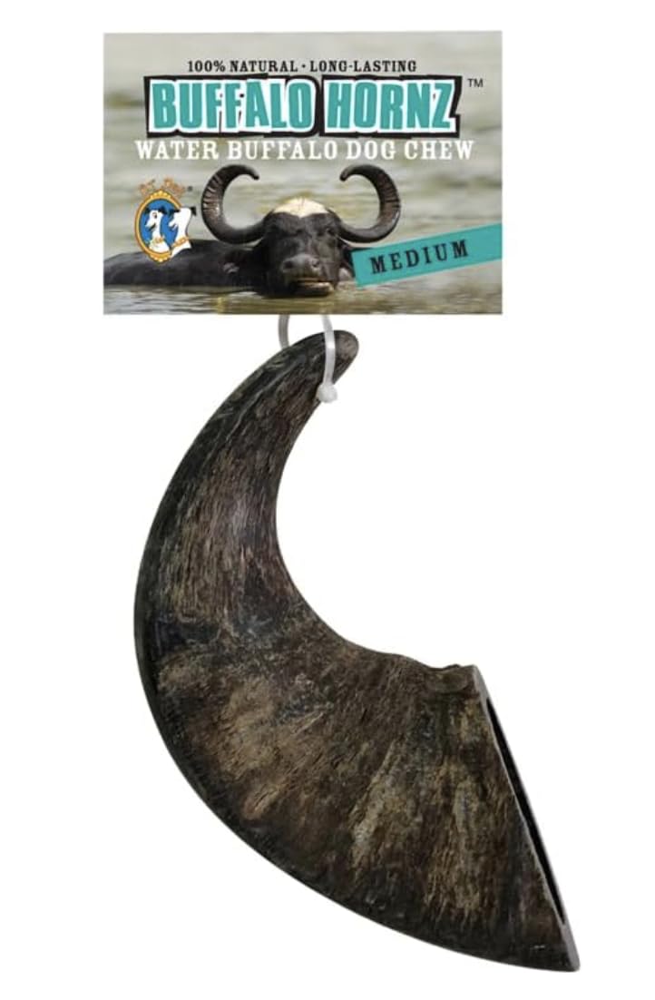QT Dog Medium Water Buffalo Horn - Long-Lasting 100% All-Natural Dog Chew, Ethically Sourced Protein-Packed & Low Fat Dental Chews, Ideal for All Breeds & Aggressive Chewers