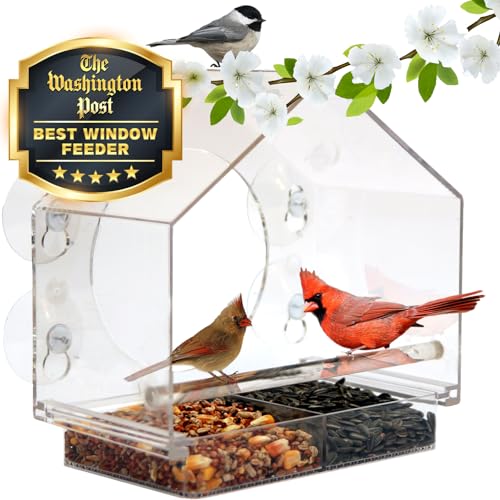 14. Nature Anywhere Bird Feeder for Nature-Loving Grandmas