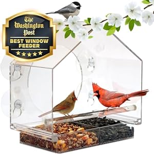 Nature Anywhere Transparent Acrylic Window Bird Feeders for Outdoors – Enhanced Suction Grip, Bird Watching for Cats, Easy-to-Clean, Outdoor Birdhouse Feeder