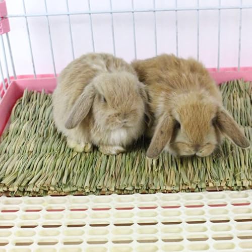 KATLKIU 4PCS Natural Grass Mat for Rabbits, Edible Chew Toys Set with 12PCS Timothy Hay Sticks – Rose, Calendula, Forget-Me-Not Flavors – for Guinea Pigs, Chinchillas, Hamsters, Small Pets - Image 3