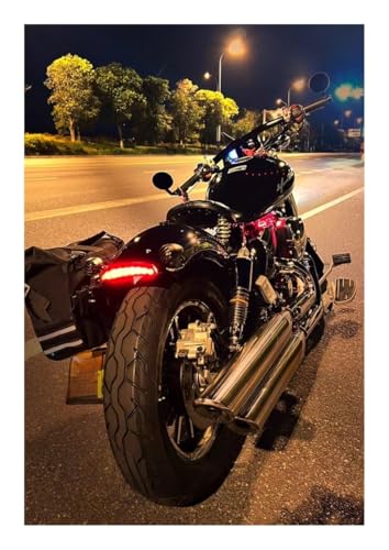 Feu arrière LED pour moto XL883/XL1200 Iron833 et Iron1200 - 6