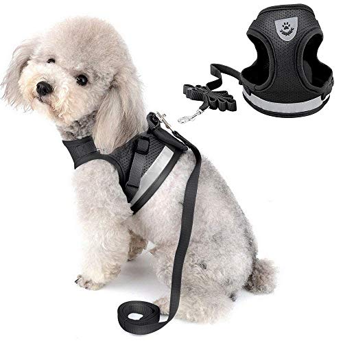 DAMIGRAM Perros Pecho de Arnés, Reflectante Antitranspirante Acolchado Seguridad Chaleco Cabestro Cinturón De Seguridad de Perro para Ejercicio de Caminar Formación Corriendo (S)