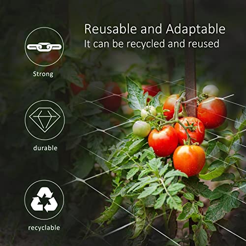 Toolazy Plastic Garden Trellis Netting Bulk Roll 79''X328' Heavy-Duty Garden Netting For Climbing Plants,Garden Melons Vegetables, Grape Racks, Hydroponic #TOP4