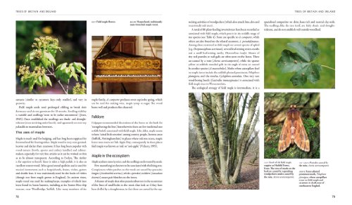 Trees of Britain and Ireland