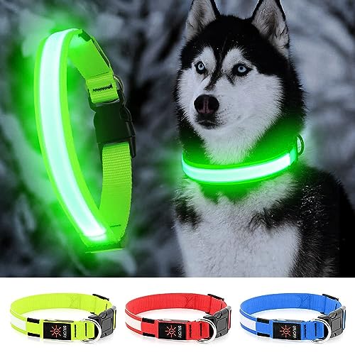 LED Dog Collar - Light Up, Waterproof, Adjustable Flashing, Rechargeable Visibility & Safety for Dogs (Green, Large)