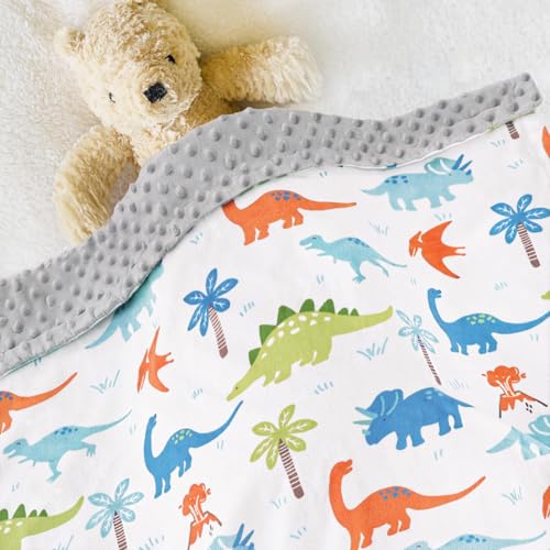 Image of HOMRITAR Baby Blanket for Kids Super Soft Minky Blanket with Dotted Backing, Dinosaurs Multicolor Printed for Toddlers Nursery 30 x 40 inch (75 x 100 cm)