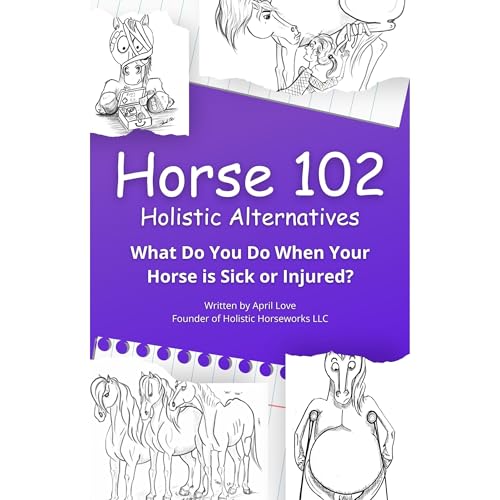 Horse 102: Holistic Alternatives by April Love episode artwork