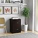 Ameriwood Home Core 2 Drawer File Cabinet, Espresso