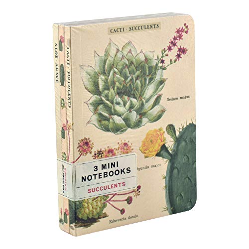 Product Image of the Cavallini Papers & Co., Inc. Succulents Mini Notebooks 4 x 5.5