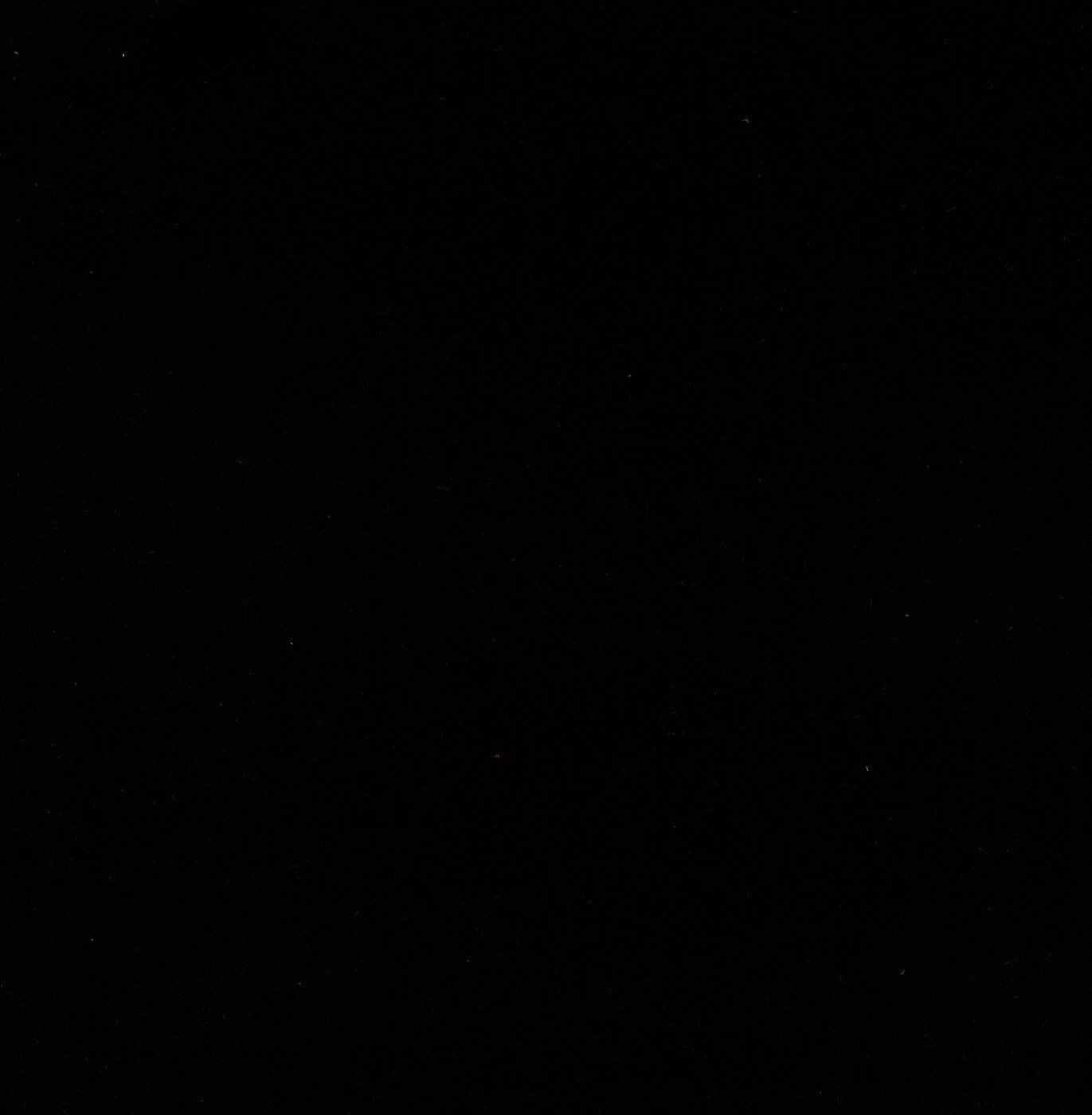 Flocking Velvet Waterproof Felt with PVC Backing Black Upholstery Fabric 55