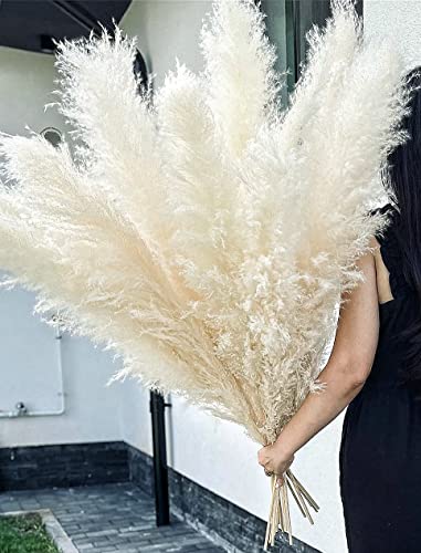 10 Stems 46 inch White Pampas Grass Decor Tall Large Pompas Grass Boho Neutral Home Decor Bouquet Fluffy Pampass Grass for Floor Vase Wedding Floral Arrangements Wall Farmhouse Table Decor