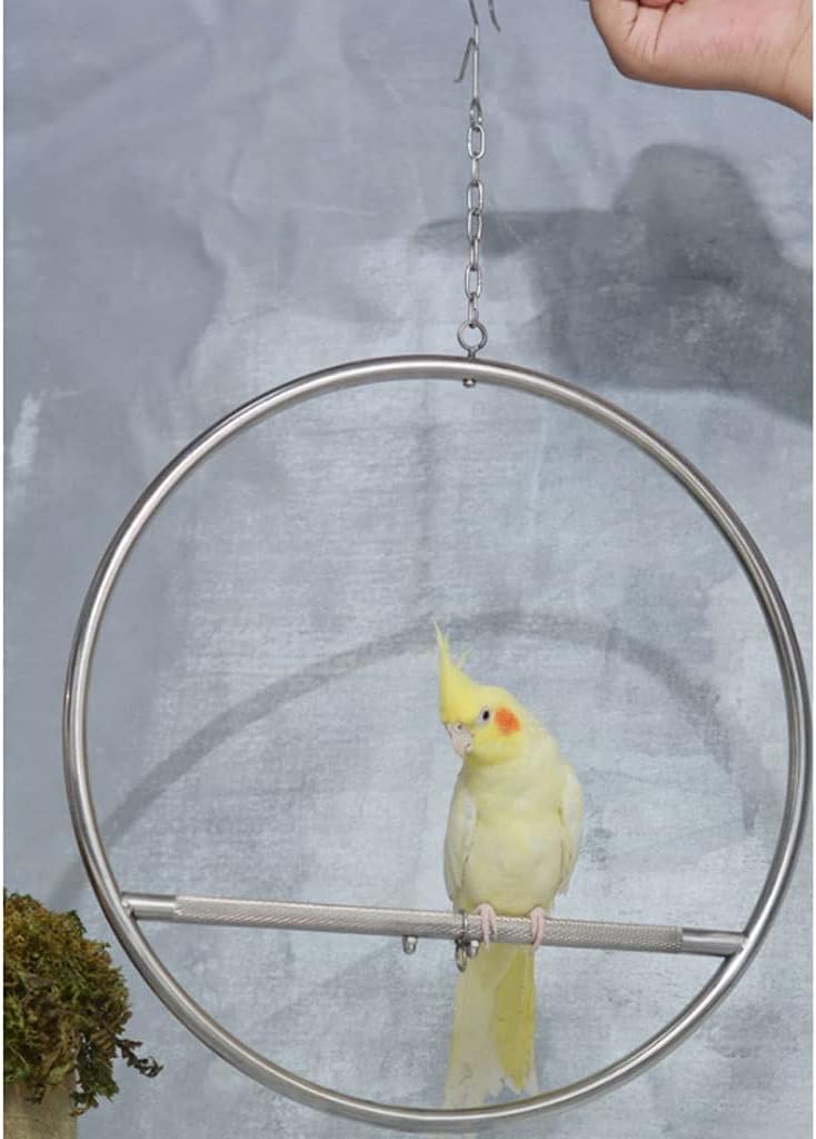 Flight Cage Stainless Steel Ring Ornamental Stand Stand Tiger Skin Black Phoenix Peony Little Sun Small and Medium Parrot Stand Stand Bird Cage Supplies Toys Birdcages Decor