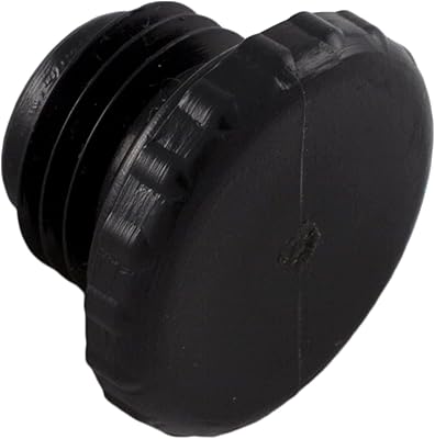Pentair R172392 1/4-Inch Access Plug Replacement Pool and Spa Cartridge Filter